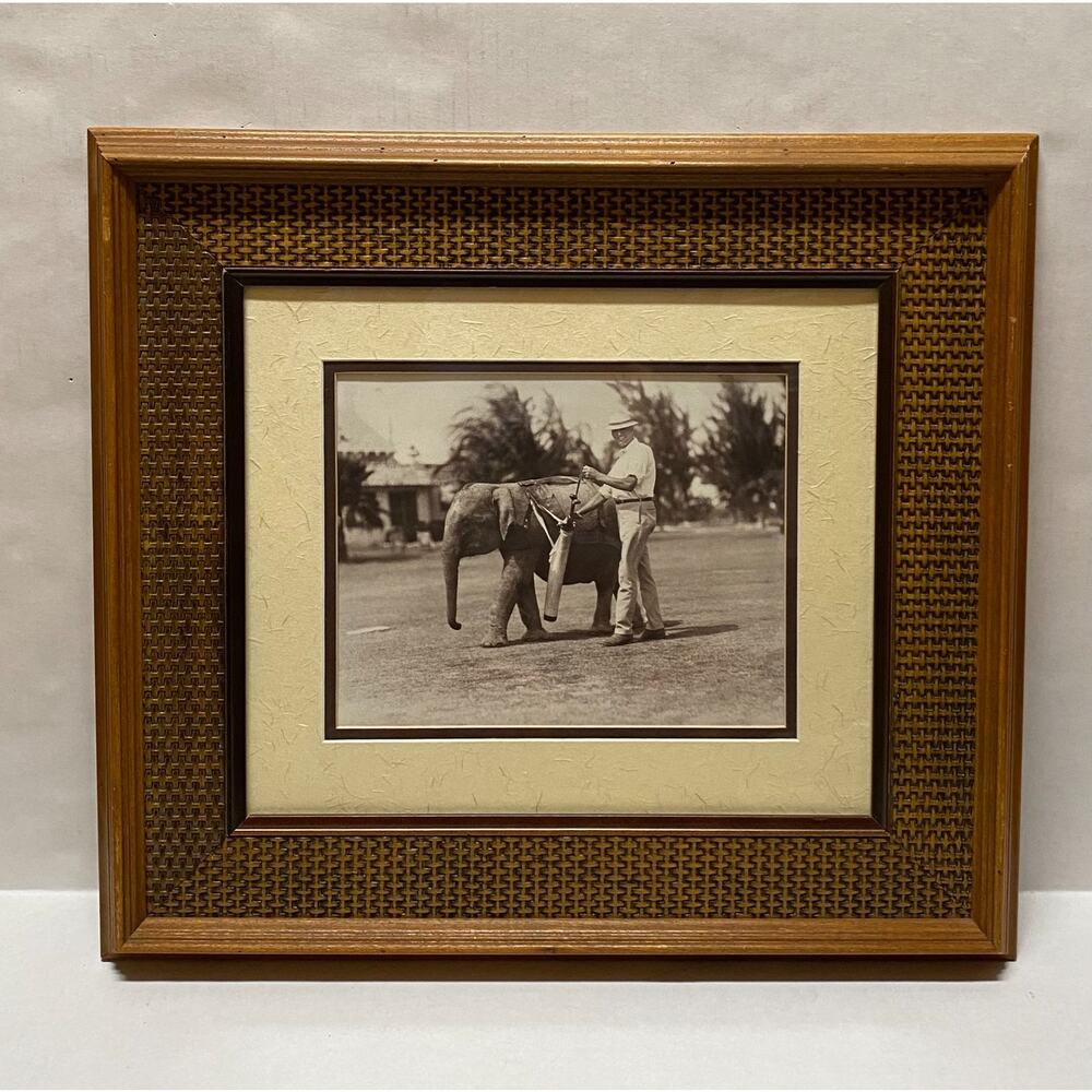 Bombay Company Carl Fisher Rosie the Elephant Miami Florida Framed Wall Art
